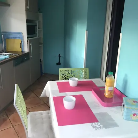 Studio Climatise Proche Plage Avec Parking Et Wifi A - Fr-1-335-197 Hyeres