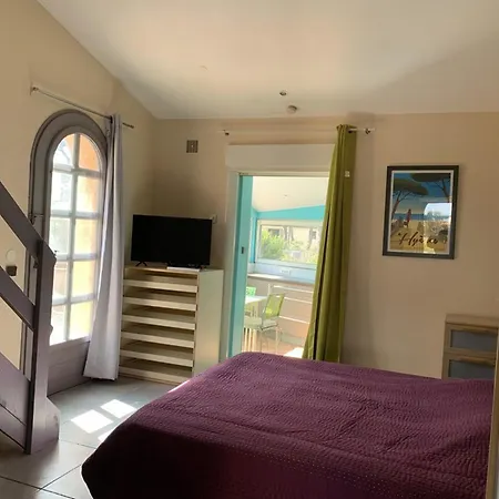 Studio Climatise Proche Plage Avec Parking Et Wifi A - Fr-1-335-197 *